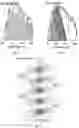 Fig. 02 - Dyes, dye-sensitized solar cells, and methods of making and using the same