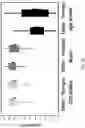 Fig. 04 - COMPOSITIONS AND METHODS TO CONTROL INSECT PESTS