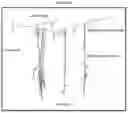 Fig. 02 - Subterranean microalgae for production of microbial biomass, substances, and compositions