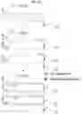 Fig. 27 - Nucleic acid complex pair, competitive construct, and PCR kit using the same