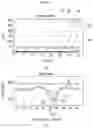 Fig. 37 - Nucleic acid complex pair, competitive construct, and PCR kit using the same
