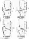 Fig. 42 - Nucleic acid complex pair, competitive construct, and PCR kit using the same