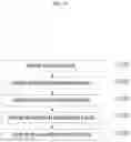Fig. 62 - Nucleic acid complex pair, competitive construct, and PCR kit using the same