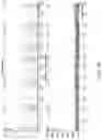 Fig. 20 - High intensity labeled reactant compositions and methods for sequencing