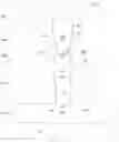 Fig. 02 - Three-dimensional integrated shoe blank with tongue and method for manufacturing the same