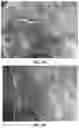 Fig. 03 - NONWOVEN COMPOSITE FOR HIGH TEMPERATURE APPLICATIONS REQUIRING LOW FLAMMABILITY, SMOKE, AND TOXICITY