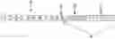 Fig. 01 - Method for manufacturing an endoscope insertion tube, and endoscope having an insertion tube