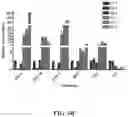 Fig. 09 - Methods for treating hair loss disorders