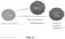 Fig. 10 - Methods for treating hair loss disorders