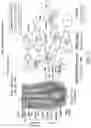 Fig. 109 - Methods for treating hair loss disorders