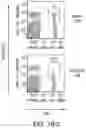 Fig. 121 - Methods for treating hair loss disorders