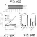 Fig. 141 - Methods for treating hair loss disorders