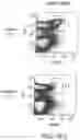 Fig. 24 - Methods for treating hair loss disorders
