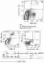 Fig. 32 - Methods for treating hair loss disorders