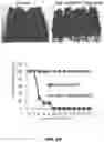 Fig. 64 - Methods for treating hair loss disorders