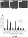 Fig. 83 - Methods for treating hair loss disorders