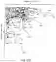 Fig. 89 - Methods for treating hair loss disorders