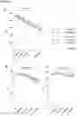Fig. 22 - HEMOPEXIN FORMULATIONS