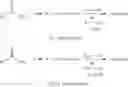 Fig. 07 - Pharmaceutical compositions comprising POH derivatives and methods of use