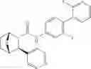 Fig. 167 - Compounds and compositions for inducing chondrogenesis