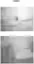 Fig. 02 - Methods and Compositions Useful for Treating Cancer
