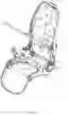 Fig. 04 - Child stroller apparatus
