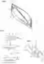Fig. 07 - Inflatable watercraft and method for the production thereof