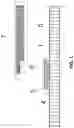 Fig. 02 - Spacer assembly for aircraft flooring