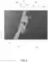 Fig. 07 - Cargo container nose cone assembly