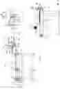 Fig. 02 - Apparatus and method for feeding bars