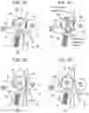 Fig. 06 - Sheet conveying device and image forming apparatus