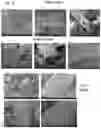 Fig. 03 - LIGNIN COMPOSITIONS, METHODS OF PRODUCING THE COMPOSITIONS, METHODS OF USING LIGNIN COMPOSITIONS, AND PRODUCTS PRODUCED THEREBY