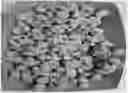 Fig. 01 - Granular filter media