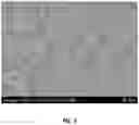Fig. 04 - CRISTOBALITE GLASS-CERAMICS