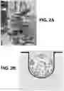 Fig. 03 - Storage stable choline chloride compositions