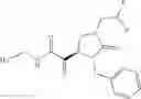 Fig. 182 - Antiviral compounds