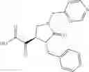 Fig. 91 - Antiviral compounds