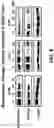 Fig. 05 - NR4A1 LIGANDS, PHARMACEUTICAL COMPOSITIONS, AND RELATED METHODS OF USE