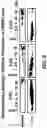 Fig. 06 - NR4A1 LIGANDS, PHARMACEUTICAL COMPOSITIONS, AND RELATED METHODS OF USE