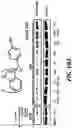 Fig. 11 - NR4A1 LIGANDS, PHARMACEUTICAL COMPOSITIONS, AND RELATED METHODS OF USE