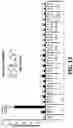 Fig. 17 - NR4A1 LIGANDS, PHARMACEUTICAL COMPOSITIONS, AND RELATED METHODS OF USE