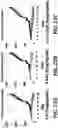 Fig. 28 - NR4A1 LIGANDS, PHARMACEUTICAL COMPOSITIONS, AND RELATED METHODS OF USE
