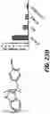 Fig. 29 - NR4A1 LIGANDS, PHARMACEUTICAL COMPOSITIONS, AND RELATED METHODS OF USE