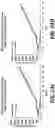 Fig. 31 - NR4A1 LIGANDS, PHARMACEUTICAL COMPOSITIONS, AND RELATED METHODS OF USE