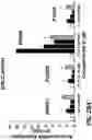 Fig. 37 - NR4A1 LIGANDS, PHARMACEUTICAL COMPOSITIONS, AND RELATED METHODS OF USE