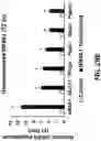 Fig. 41 - NR4A1 LIGANDS, PHARMACEUTICAL COMPOSITIONS, AND RELATED METHODS OF USE