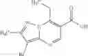 Fig. 124 - Pyrazolopyrimidine derivatives
