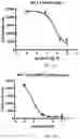 Fig. 05 - SHMT inhibitors