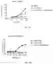 Fig. 06 - SHMT inhibitors