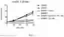 Fig. 07 - SHMT inhibitors